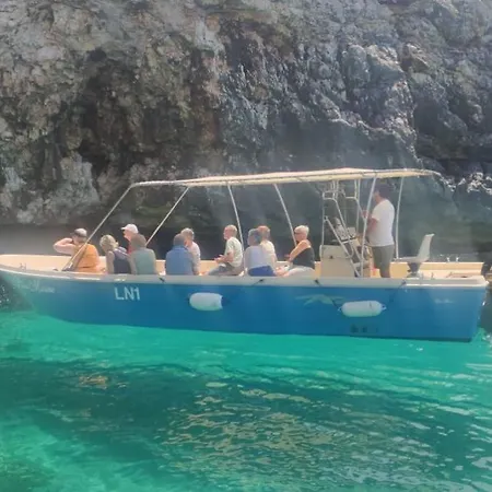 Mimose * Галліполі