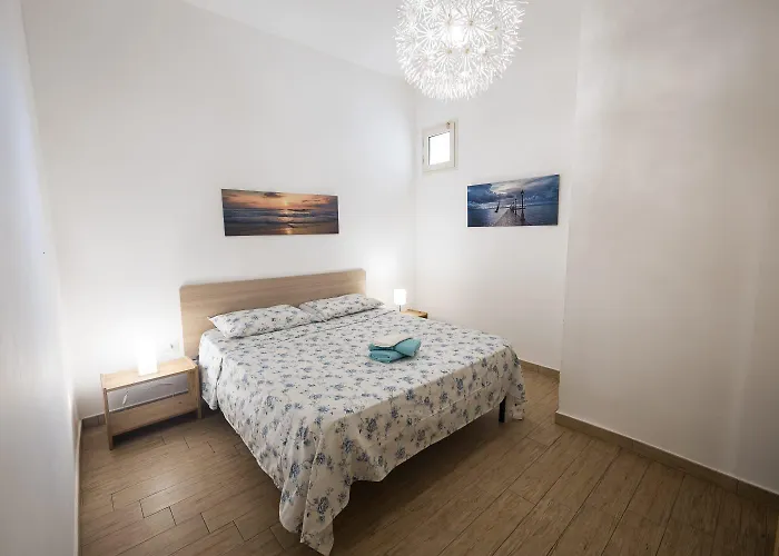 Mimose גאליפולי